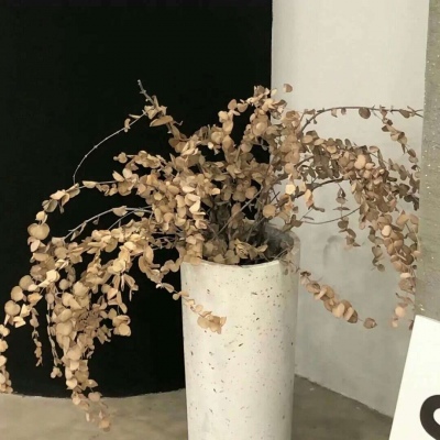 龙泉驿FurryQQ群介绍